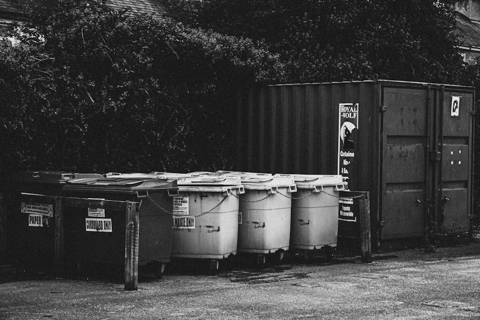 A row of six large plastic wheelie bins is positioned on an asphalt surface in front of a dark, corrugated metal storage container. The bins vary in size but are mostly white, with some displaying visible dirt and wear, and have closed lids. To the left of the bins, a short wooden post supports a sign indicating 'PAPER' waste. Behind the bins and container, there is thick foliage of trees and bushes, creating a shaded background. The scene is captured in black and white, with the lighting suggesting natural daylight, and the area appears to be an outdoor waste collection spot, possibly serving a residential or commercial property. The presence of multiple bins and a dedicated container supports the idea of an organized waste management process, such as private rubbish collection handled by a waste removal service like House Clearance Roehampton.